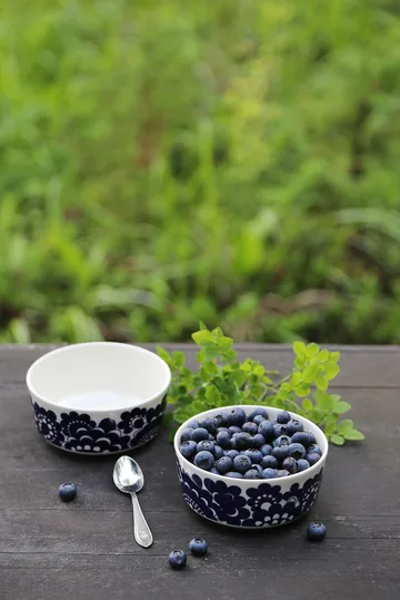 Esteri mug 30 cl and bowl Ø13 cm - Blue - Arabia