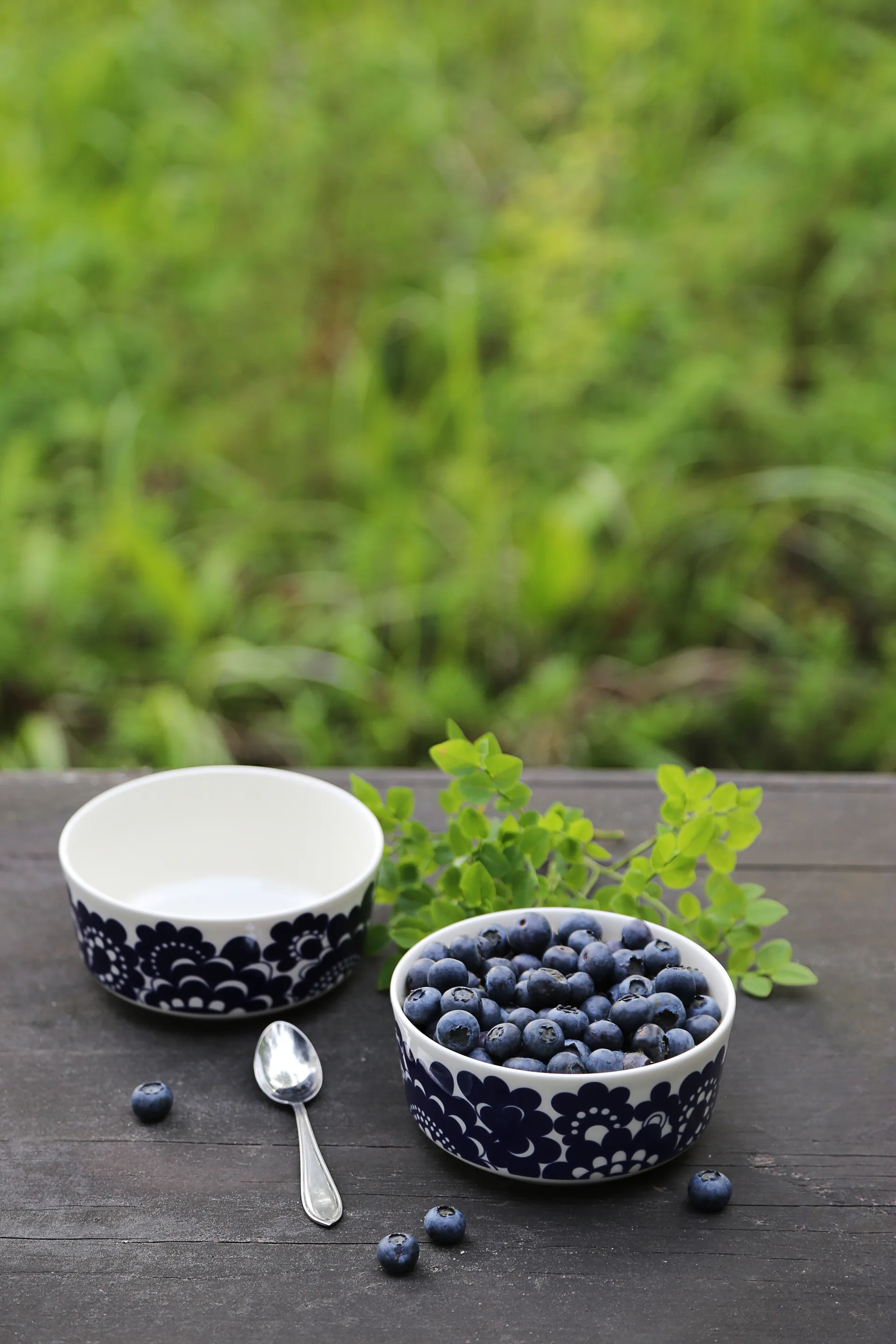 Pastoraali & Esteri Arabia mix set bowl 2 pieces, Blue Arabia