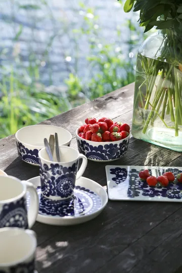 Pastoraali & Esteri Arabia mix set bowl 2 pieces - Blue - Arabia