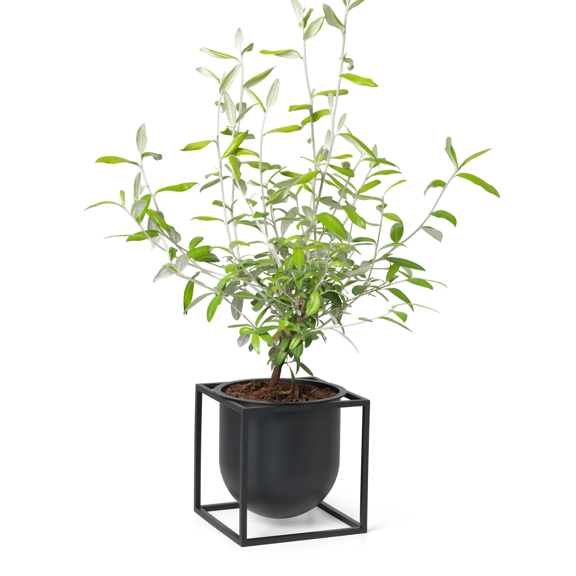 Kubus flower pot 14 cm, Black Audo Copenhagen