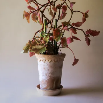 Folk Hinto plant support - Moss green - Bergs Potter
