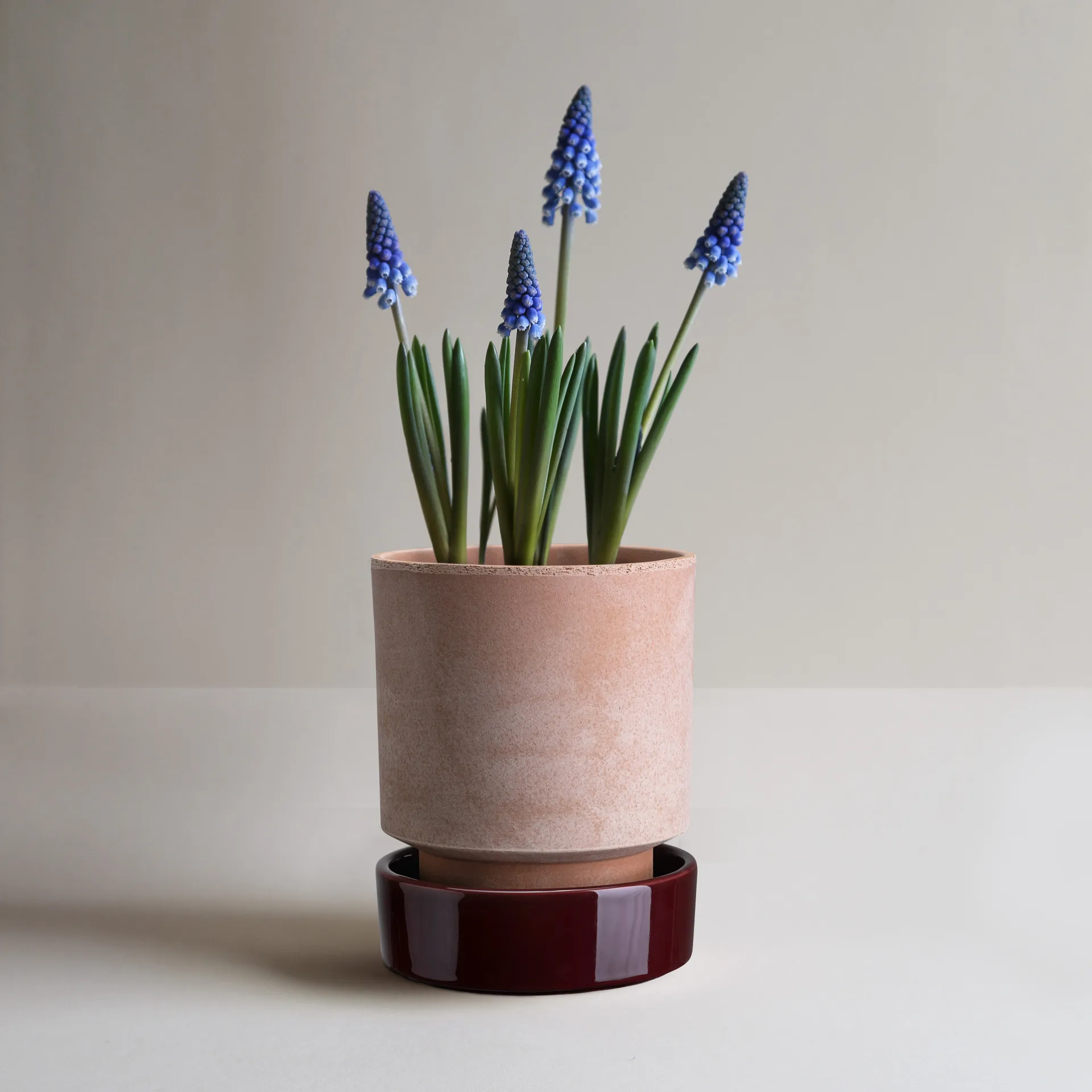 Hoff pot, Ø16 cm, Raw Rosa-Deep Burgundy Bergs Potter