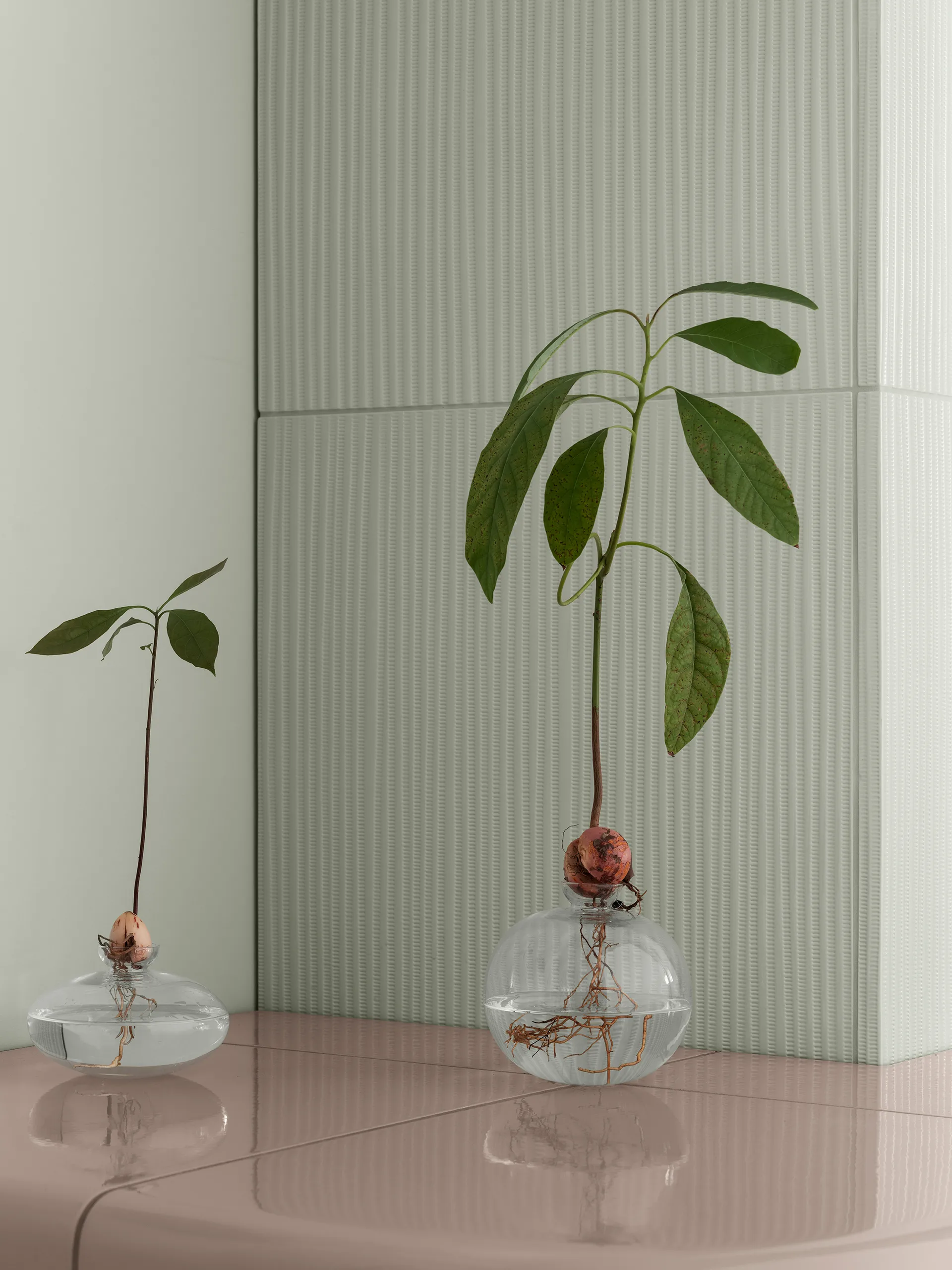 Avo vase 9.5 cm, Clear blomus