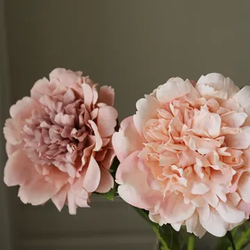 Peony artificial bouquet - Dusty, 5 pcs - Botané