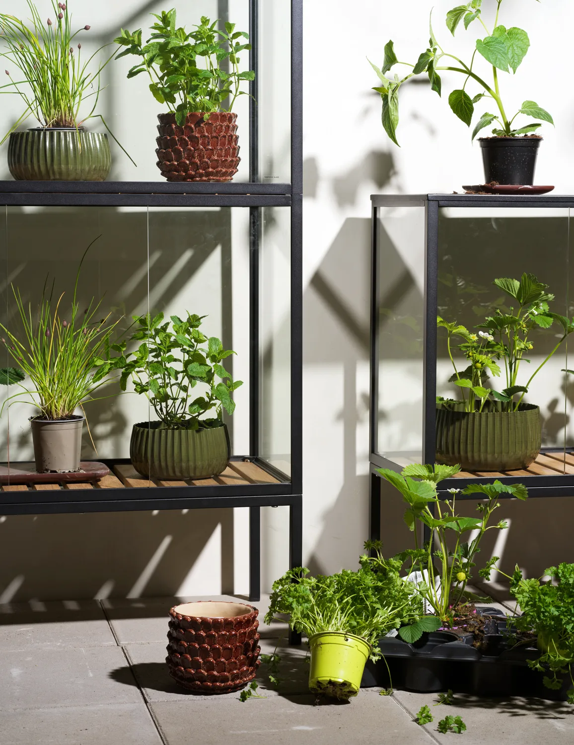 Grower Greens plant cabinet, Black, 81x137 cm Brafab