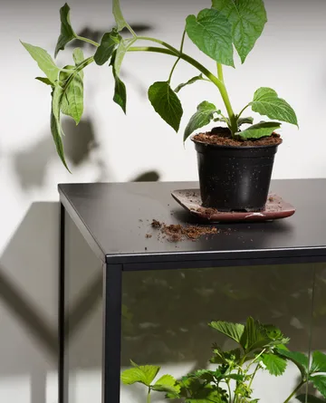 Grower Greens plant cabinet - Black, 81x82 cm - Brafab
