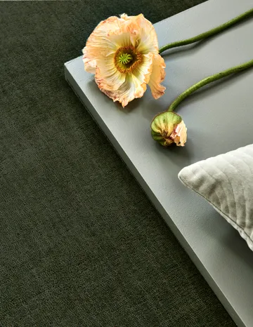 Solid rug - Green, 200x300 cm - Classic Collection