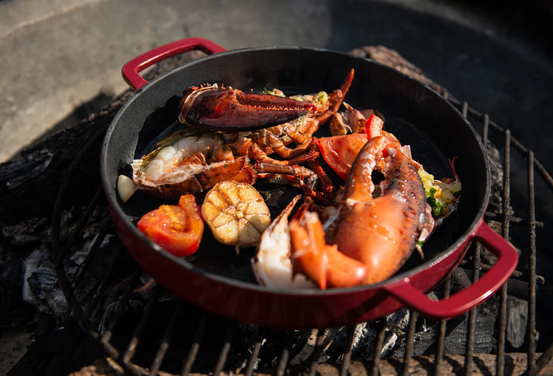 Combekk Enameled cast iron frying pan Ø24 cm, Bordeaux Combekk