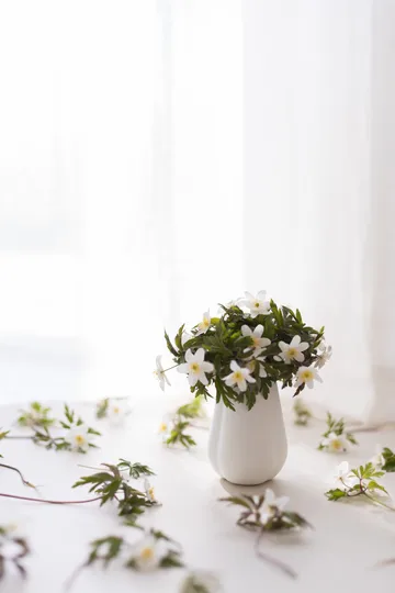 Clover vase 11 cm - white - Cooee Design