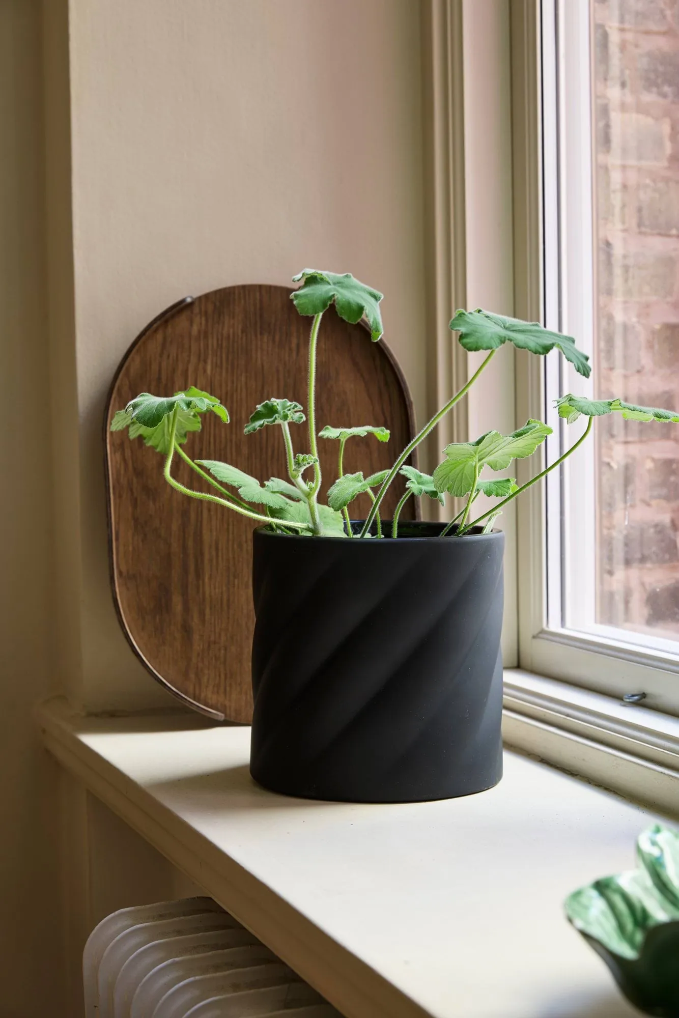 Twist plant pot, Black, medium Ø19 cm Cooee Design