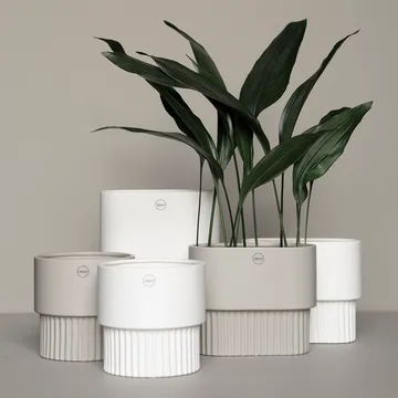 Front flower pot oval low - white - DBKD