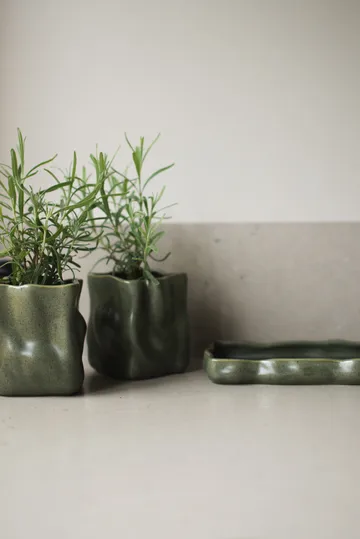 Herb pot, set of 3 - Moss - DBKD