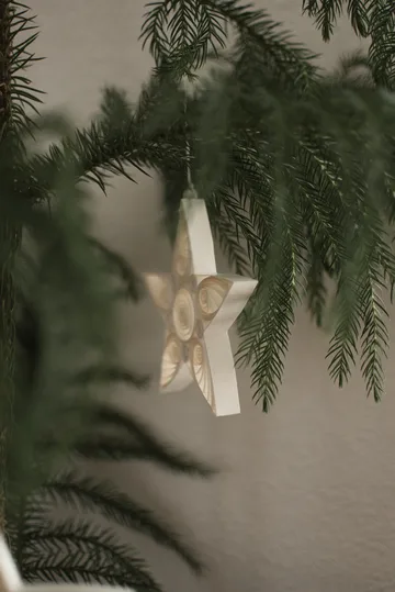 Paper star Christmas decoration 13 cm - White - DBKD