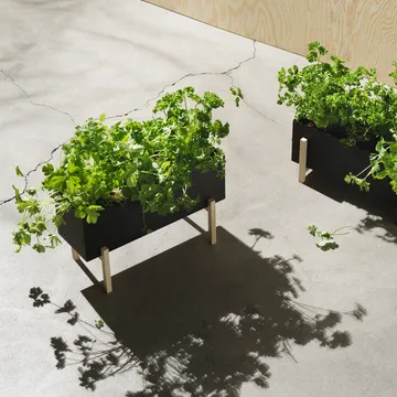 Botanic herb box - black-box - Design House Stockholm