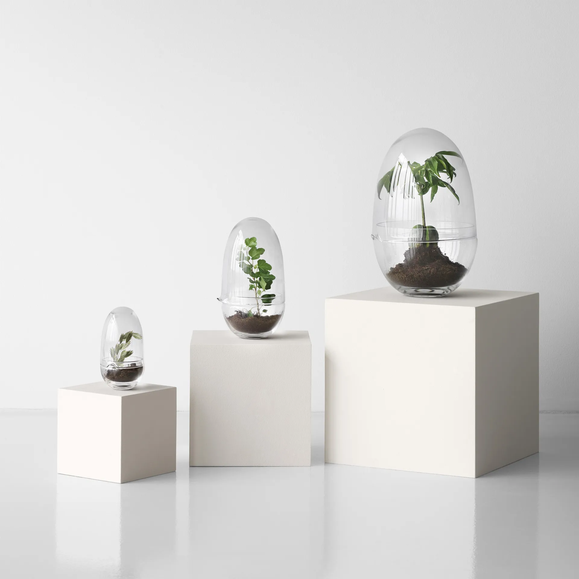 Grow greenhouse, x-large Ø20 cm Design House Stockholm