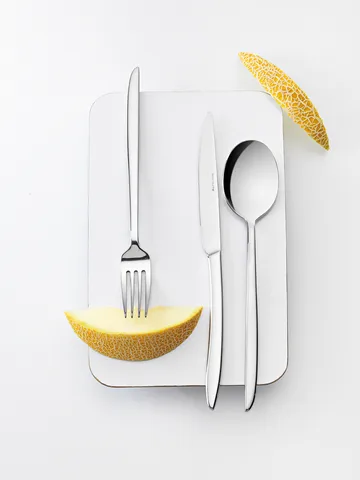 Eternum Orca cutlery set 24 pieces - Stainless steel - Eternum