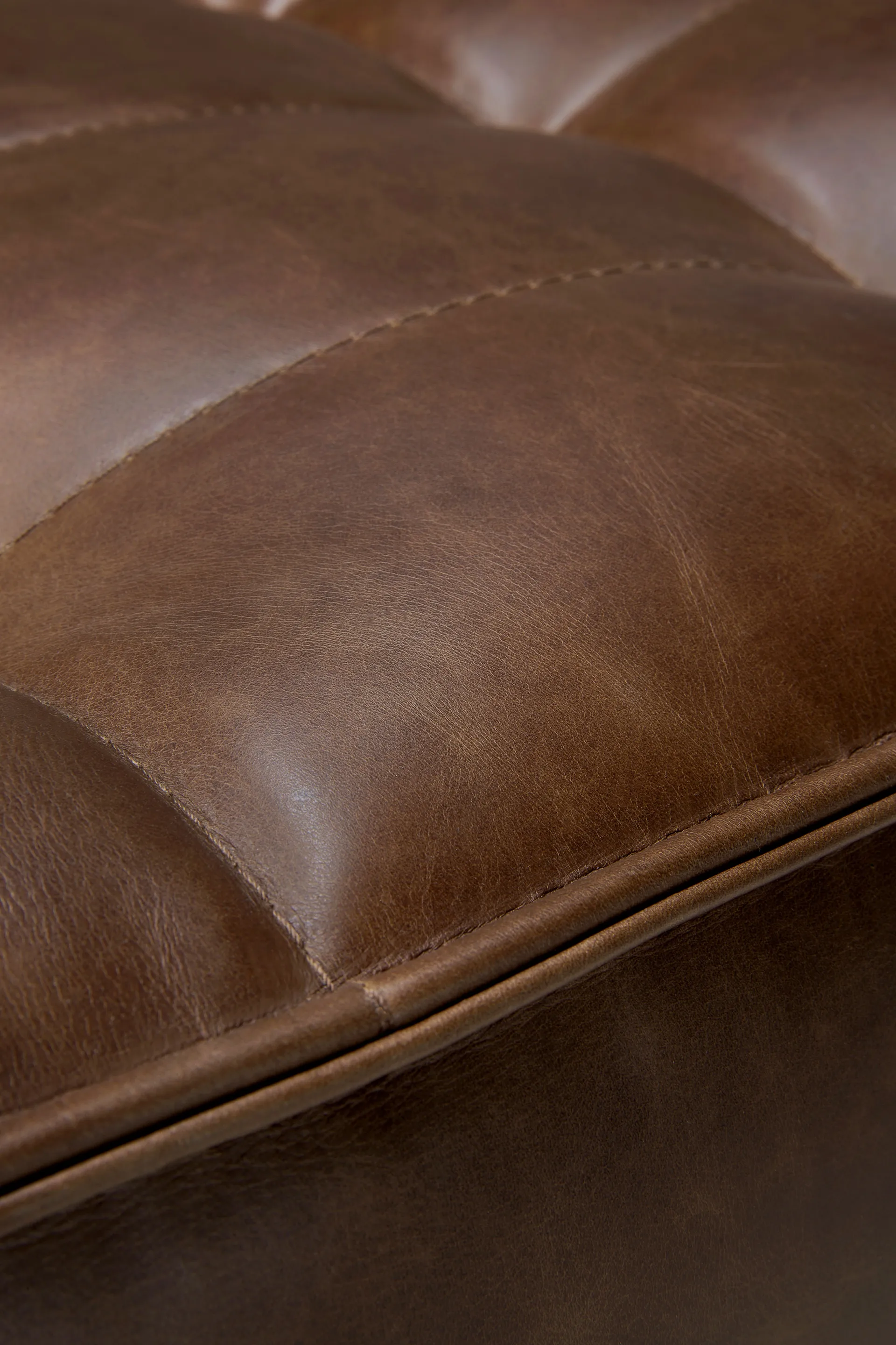 N701 armchair, Leather Chestnut Ethnicraft