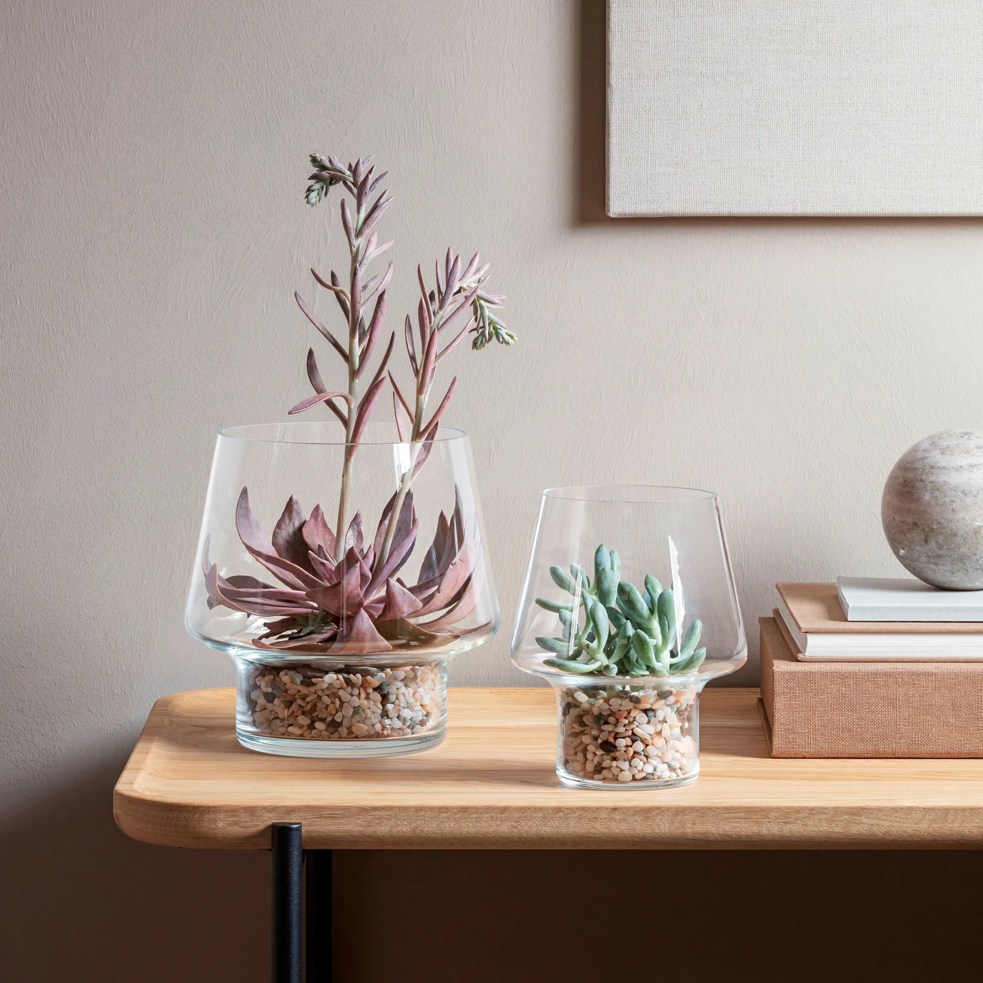 Eva Solo glass vase for succulents, Ø15 cm Eva Solo