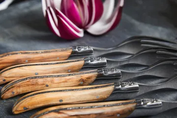 Laguiole By Hâws grill knife 6-pack - Olive - Hâws