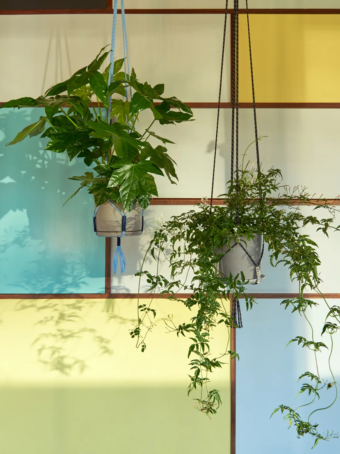 Phanta plant hanger trellis, Light blue HAY