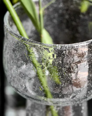 Tuur vase - Clear, 16.5 cm - House Doctor