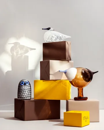 Kustskata 250x175 mm birds by Toikka - Bitter orange - Iittala