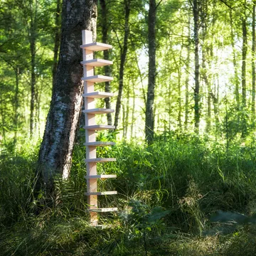 Pilaster wall shelf - Natural lacquered birch - Källemo
