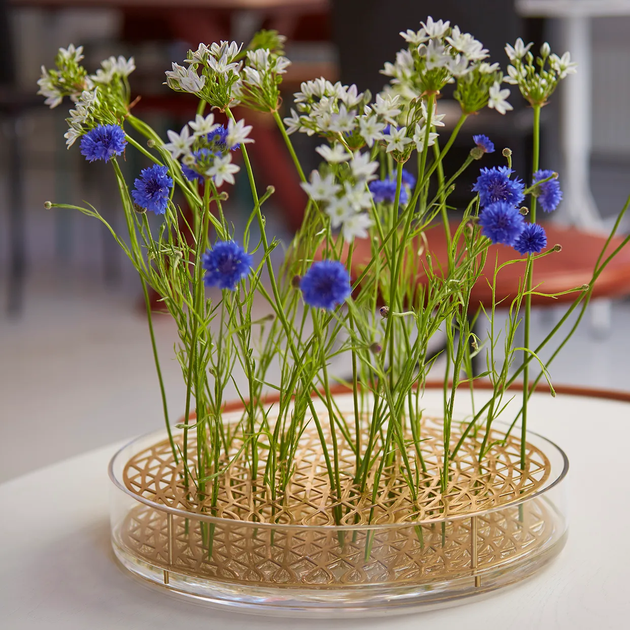 Äng vase, mega, brass KLONG