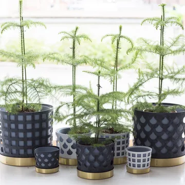Trio flower pot square, small - white - KLONG