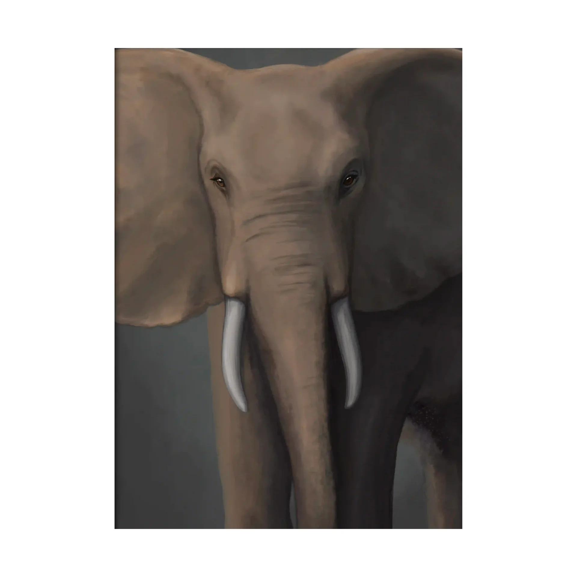 Forest elephant poster, 30x40 cm Kunskapstavlan®
