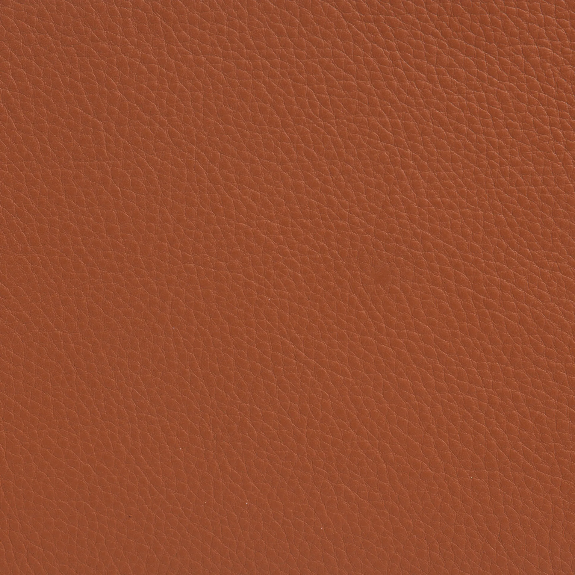 Cinema armchair, Elmo Nordic leather Cognac–chrome frame Lammhults