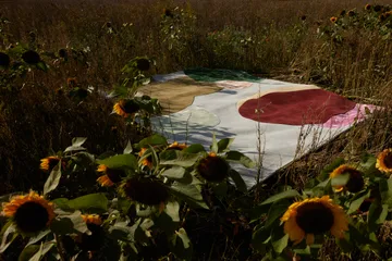 Sleeping Flower wool carpet - 200x300 cm - Layered