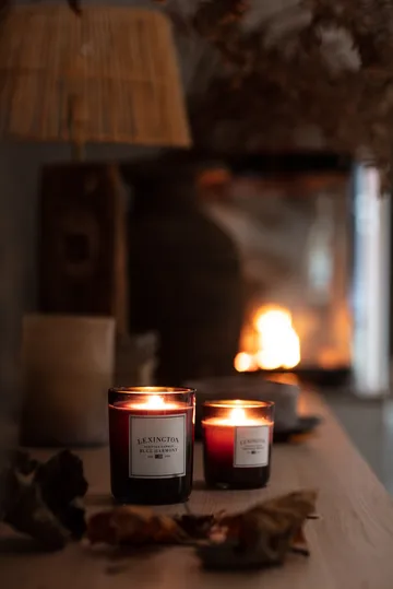 Blue Harmony scented candle 60 hours - Dark blue - Lexington