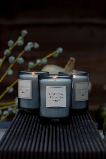 Harvest Night scented candle - Dark Grey - Lexington