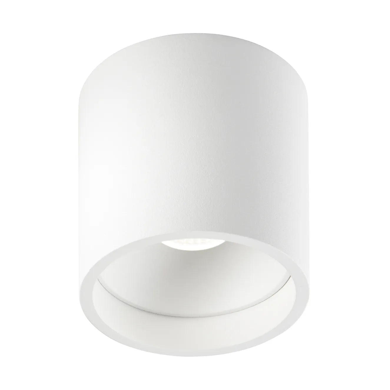 Solo Round 2 spotlight, White Light-Point