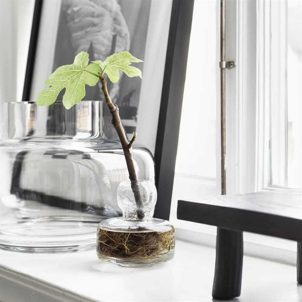 Urna vase 21 cm, clear Marimekko