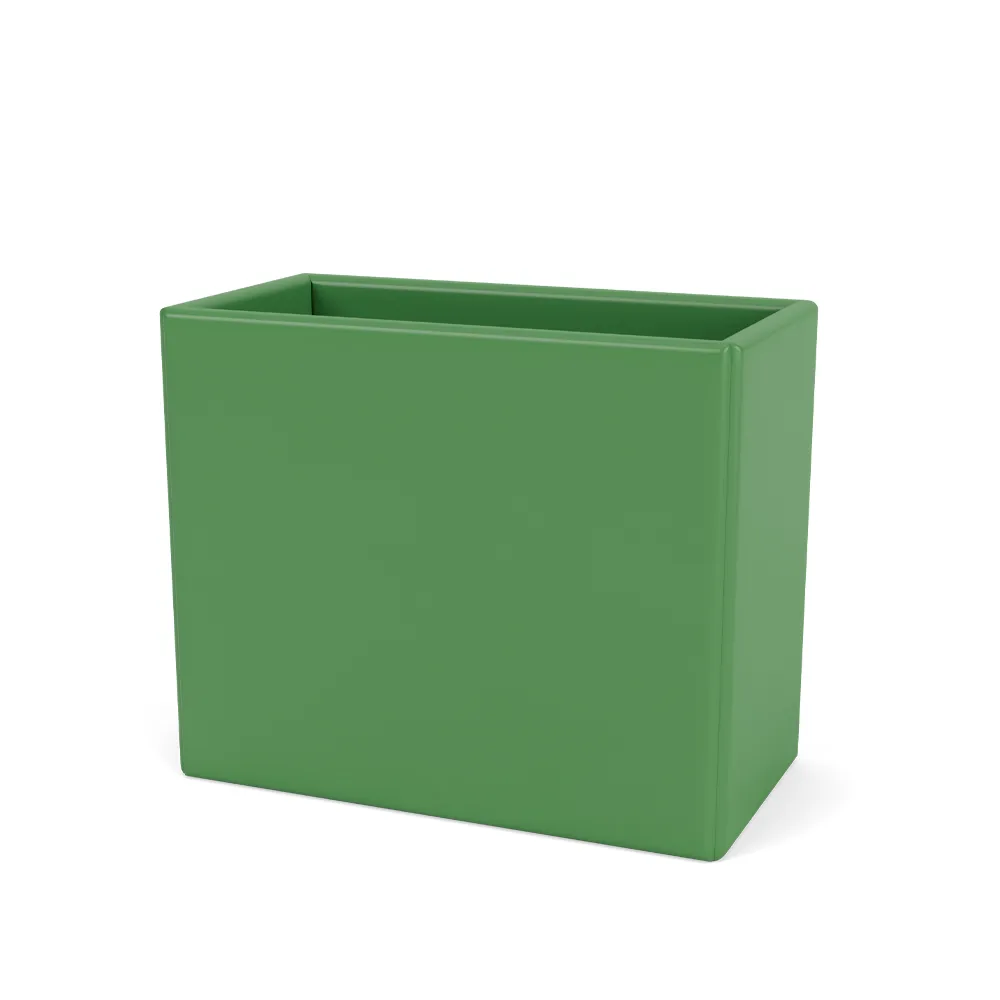 Collect organiser, Parsley 152 Montana