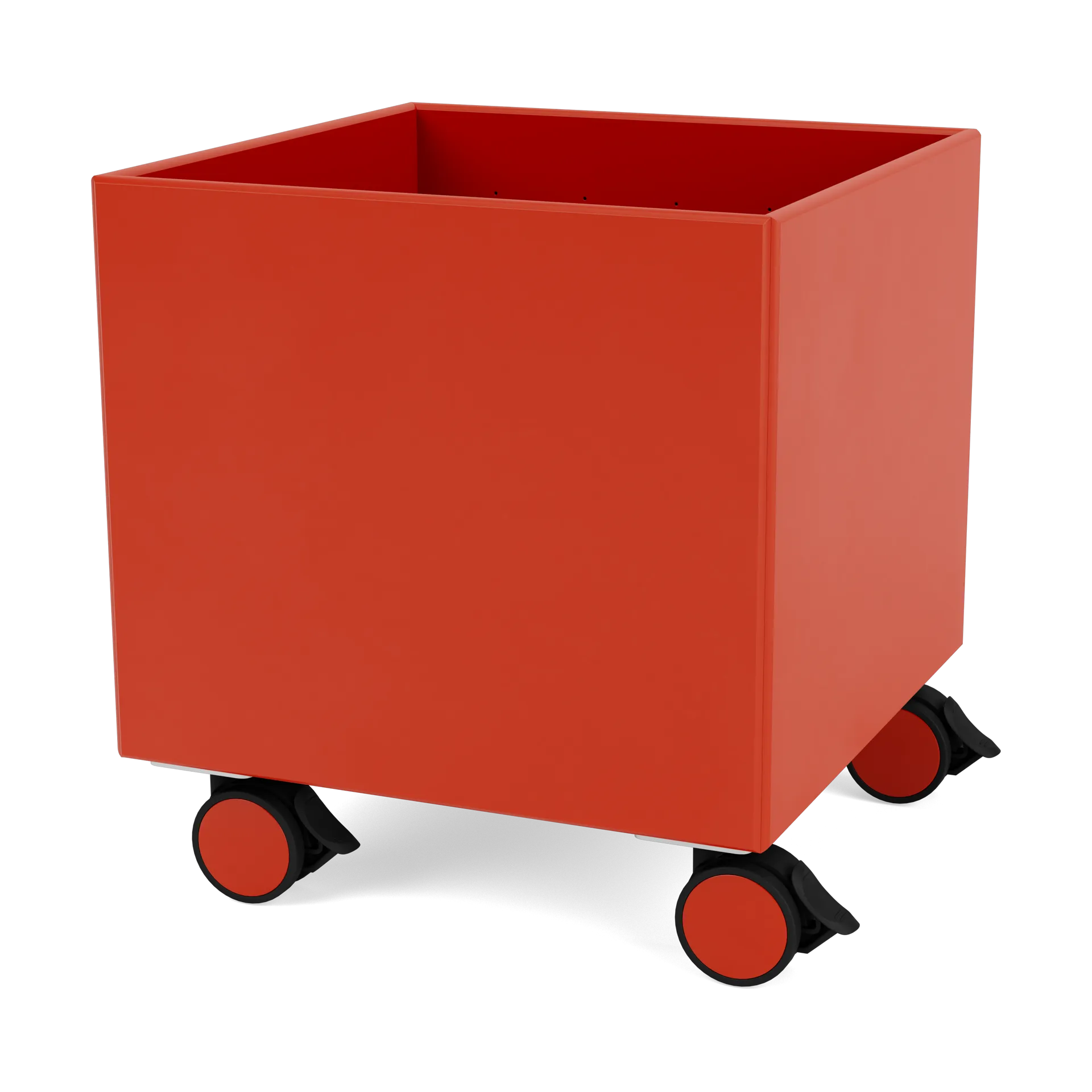 Colour Box I – S6161, Rosehip Montana