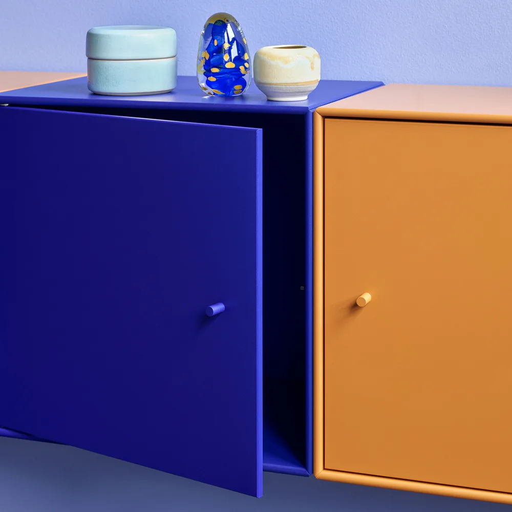 Montana Mini 1103 shelf module, Camomile 159. with door Montana