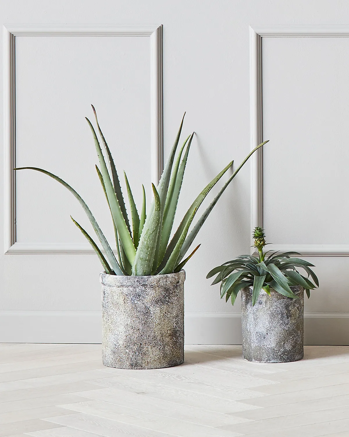 Treasure flower pot set of 2, Ø18 and Ø23 cm MUUBS