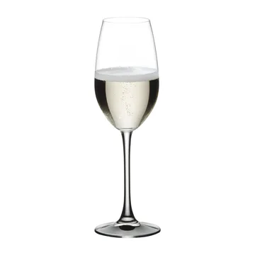 Vivino champagne glass 26 cl 4-pack - Clear - Nachtmann