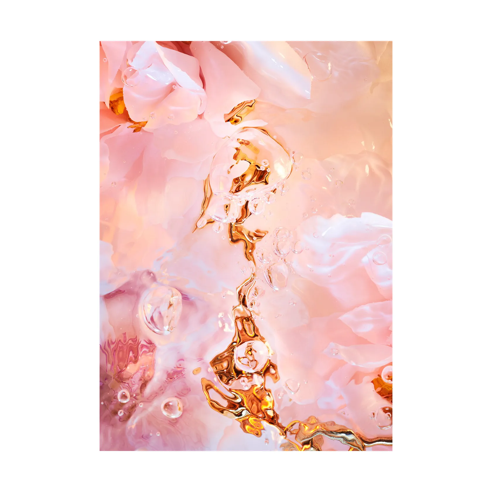 Flora Aquatica 02 poster, 30x40 cm Paper Collective