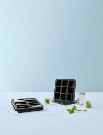 FREEZE-IT ice cube tray with lid - 2.5x19x19 cm - RIG-TIG
