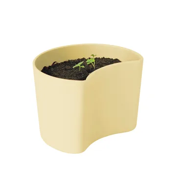 YOUR TREE pot with seeds - Yellow (Beech) - RIG-TIG