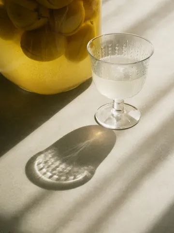 Swedish Grace drinking glass on stem 25 cl 2-pack - Clear - Rörstrand