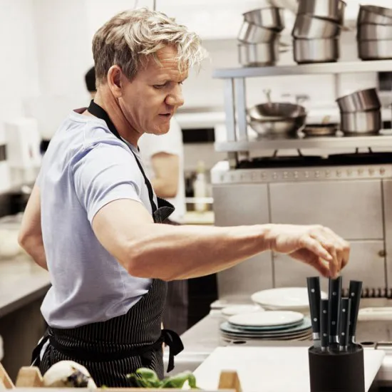 Gordon Ramsey knife block, 5 pieces Royal Doulton