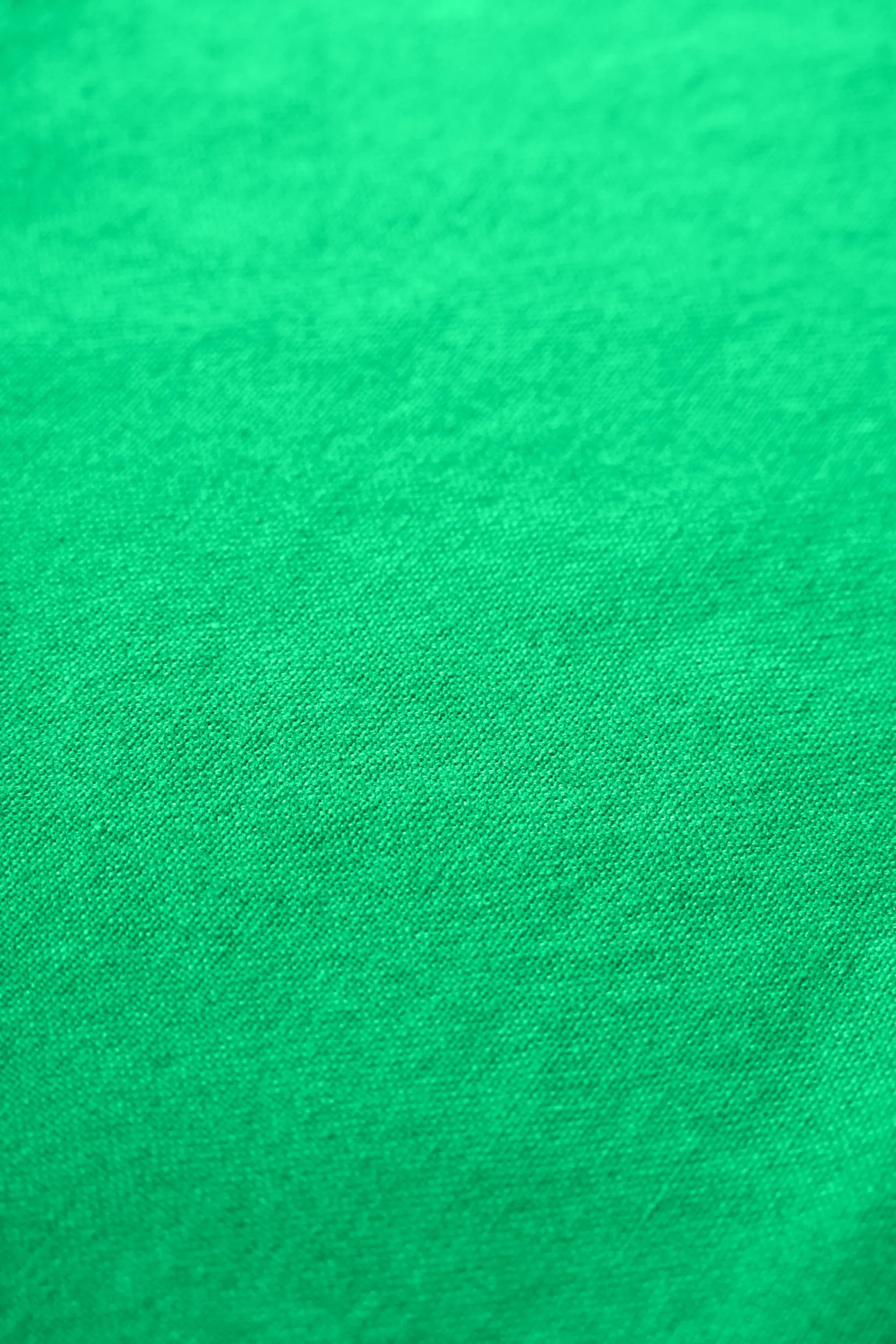 Rug Solid kitchen towel 50x70 cm, Racing green Rug Solid