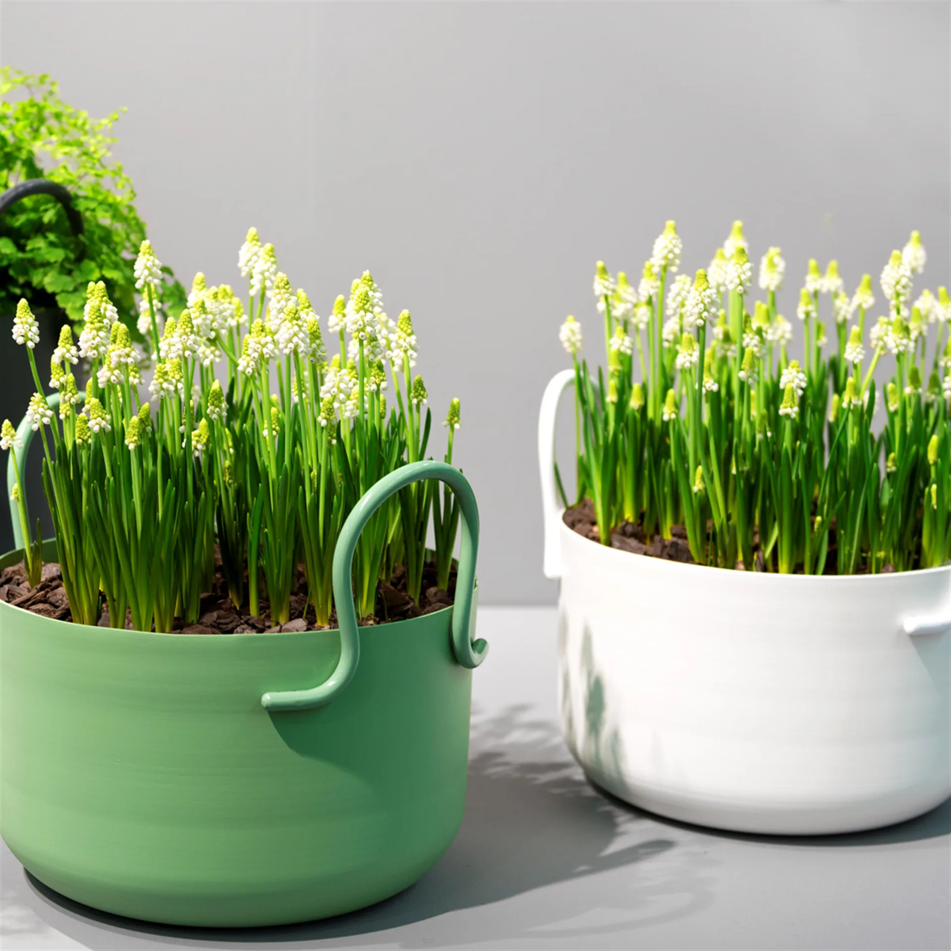 Tivoli flower pot Ø30 cm low, white SMD Design