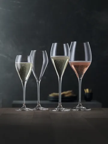 Party champagne glass 16 cl - 6-pack - Spiegelau