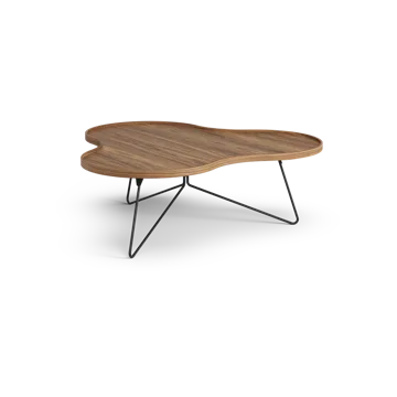 Flower mono table Special Edition 107x114 cm - H39 cm-lacquered walnut-black lacquered steel - Swedese